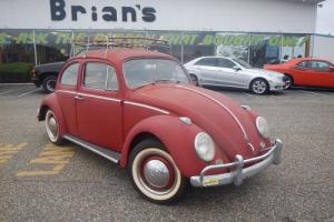 1961 Volkswagen Beetle-New -- Photo