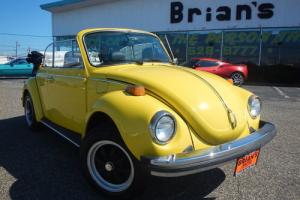 1976 Volkswagen Beetle-New -- Photo