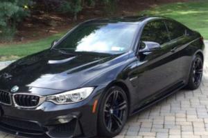 2015 BMW M4 Photo