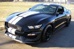 2016 Shelby GT 350 Photo
