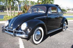 1956 Volkswagen Beetle - Classic Photo