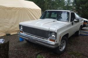 1974 Chevrolet Other Pickups