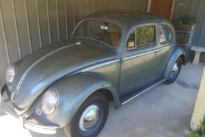 1954 VW Beetle