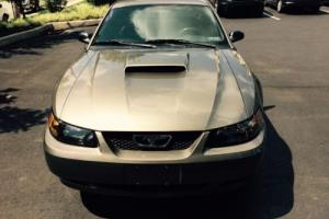 2002 Ford Mustang Photo