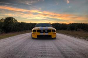 2005 Ford Mustang Photo