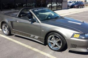 2002 Ford Mustang Saleen Photo