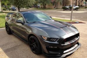 2016 Ford Mustang SHELBY GT350R Photo