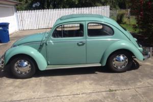 1961 Volkswagen Beetle-New -- Photo
