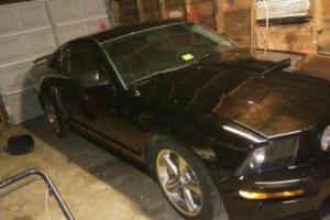 2007 Ford Mustang Gt Photo