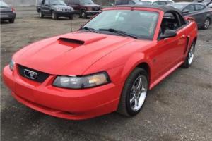 2002 Ford Mustang GT Deluxe Photo