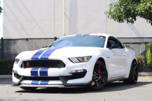 2016 Ford Mustang Fastback Shelby GT350R Photo