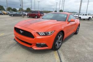 2016 Ford Mustang Fastback Rear Cam Photo