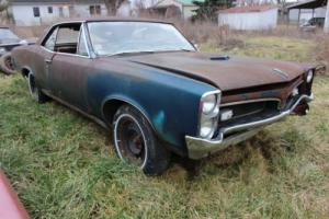 1967 Pontiac GTO