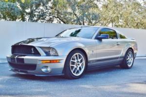 2008 Shelby GT500 MUSTANG SHELBY  SNAKE GT 500