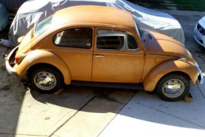 VW Beetle 1500, 1970 Photo