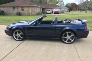 2003 Ford Mustang GT Photo