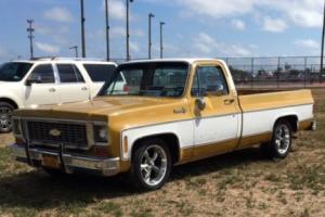1973 Chevrolet Other Pickups C10 Photo