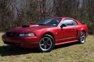 2004 Ford Mustang GT-5 Speed Photo