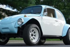 1969 Volkswagen Beetle-New Photo