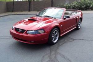 2004 Ford Mustang GT convertible Photo