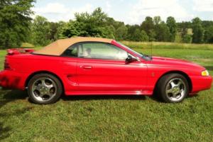 1994 Ford Mustang pace car Photo
