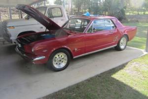 1966 ford mustang coupe Photo