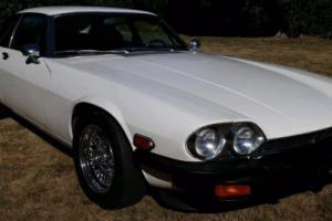 1977 Jaguar XJS Photo