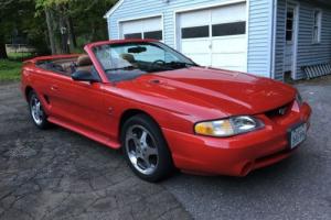 1994 Ford Mustang Indy 500 Pace Car Edition Photo