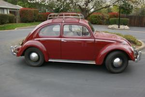 1959 Volkswagen Beetle - Classic
