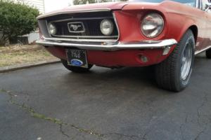 1968 Ford Mustang GT Photo