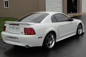 2001 Ford Mustang R Photo