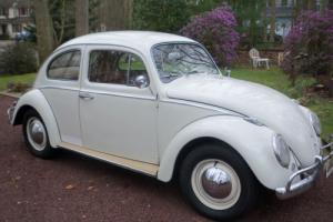 1963 Volkswagen Beetle - Classic