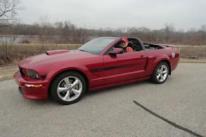 2008 Ford Mustang GT/CS Photo
