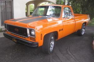 1973 Chevrolet Other Pickups Photo