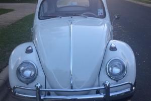 1964 Volkswagen Beetle - Classic