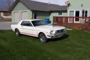 1966 Ford Mustang gt Photo