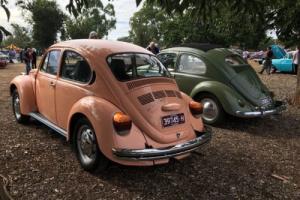1973 VW Beetle Pink Lady L Bug