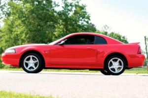 2000 Ford Mustang GT Spring Edition Photo