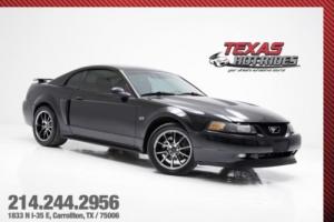 2002 Ford Mustang GT SUPERCHARGED Photo