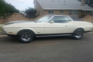 1971 Ford Mustang grande Photo