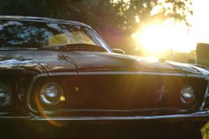 1969 Ford Mustang  Fastback, Mach 1 tribute Photo