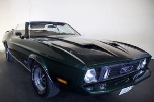1973 Ford Mustang MUST1973 Photo