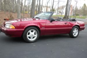 1993 Ford Mustang Photo