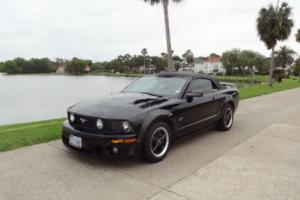 2005 Ford Mustang Premium Photo