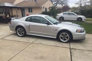 2001 Ford Mustang GT Deluxe Photo