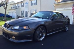 2004 Ford Mustang 380R Photo