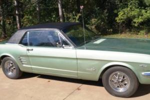1966 Ford Mustang NO RESERVE Photo