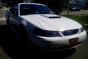 2001 Ford Mustang 4 pass specialty Photo