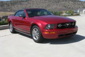 2005 Ford Mustang Premium Photo