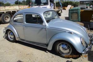 VW BEETLE Photo